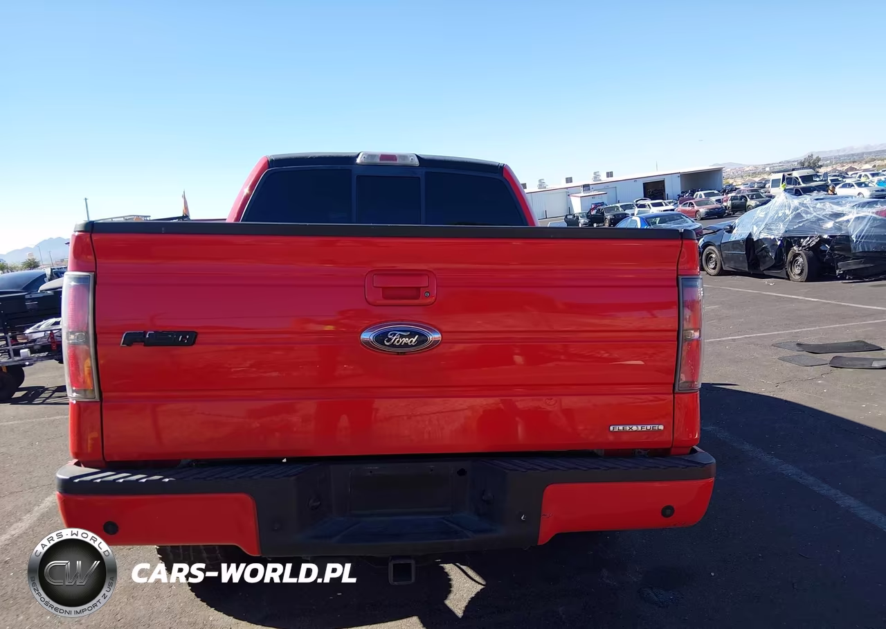 2011 Ford F-150 Fx2 VIN:1FTFW1CF1BKD68046 - 17