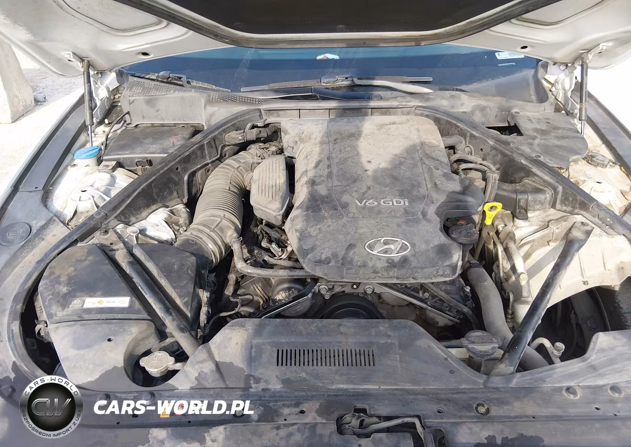 2015 Hyundai Genesis 3.8 VIN:KMHGN4JE4FU017270 - 9