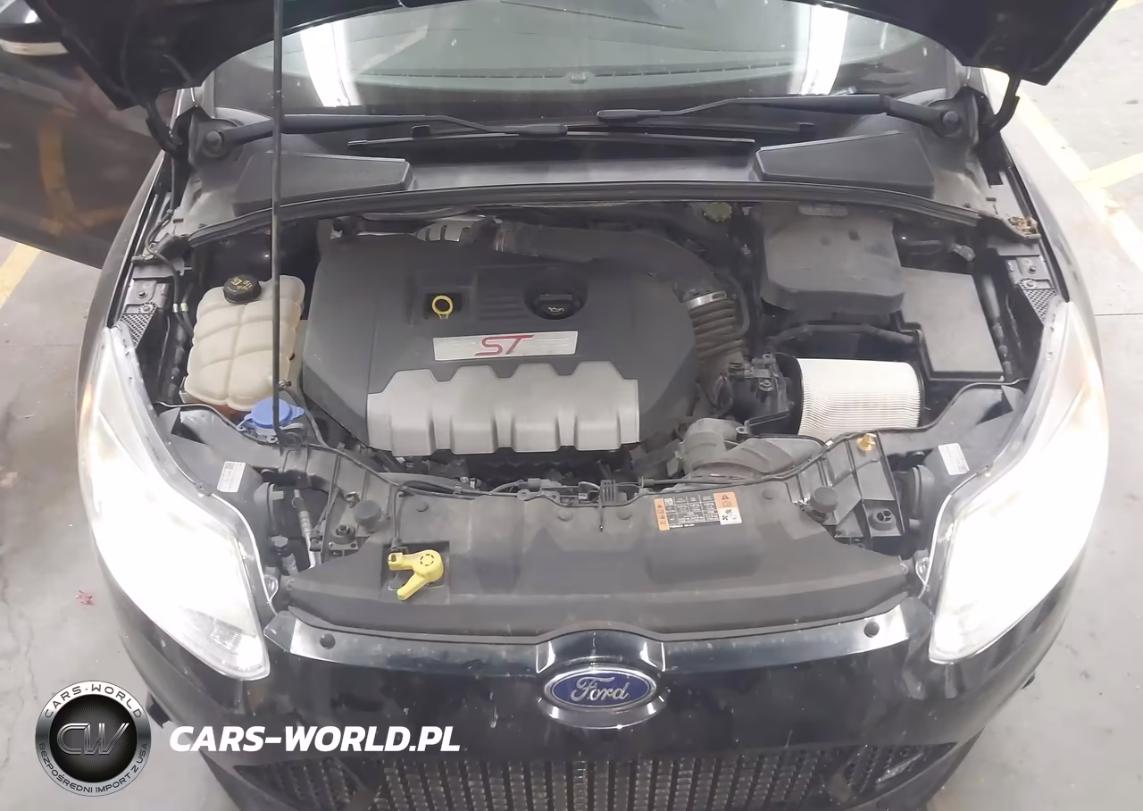 2014 Ford Focus St VIN:1FADP3L92EL346359 - 10