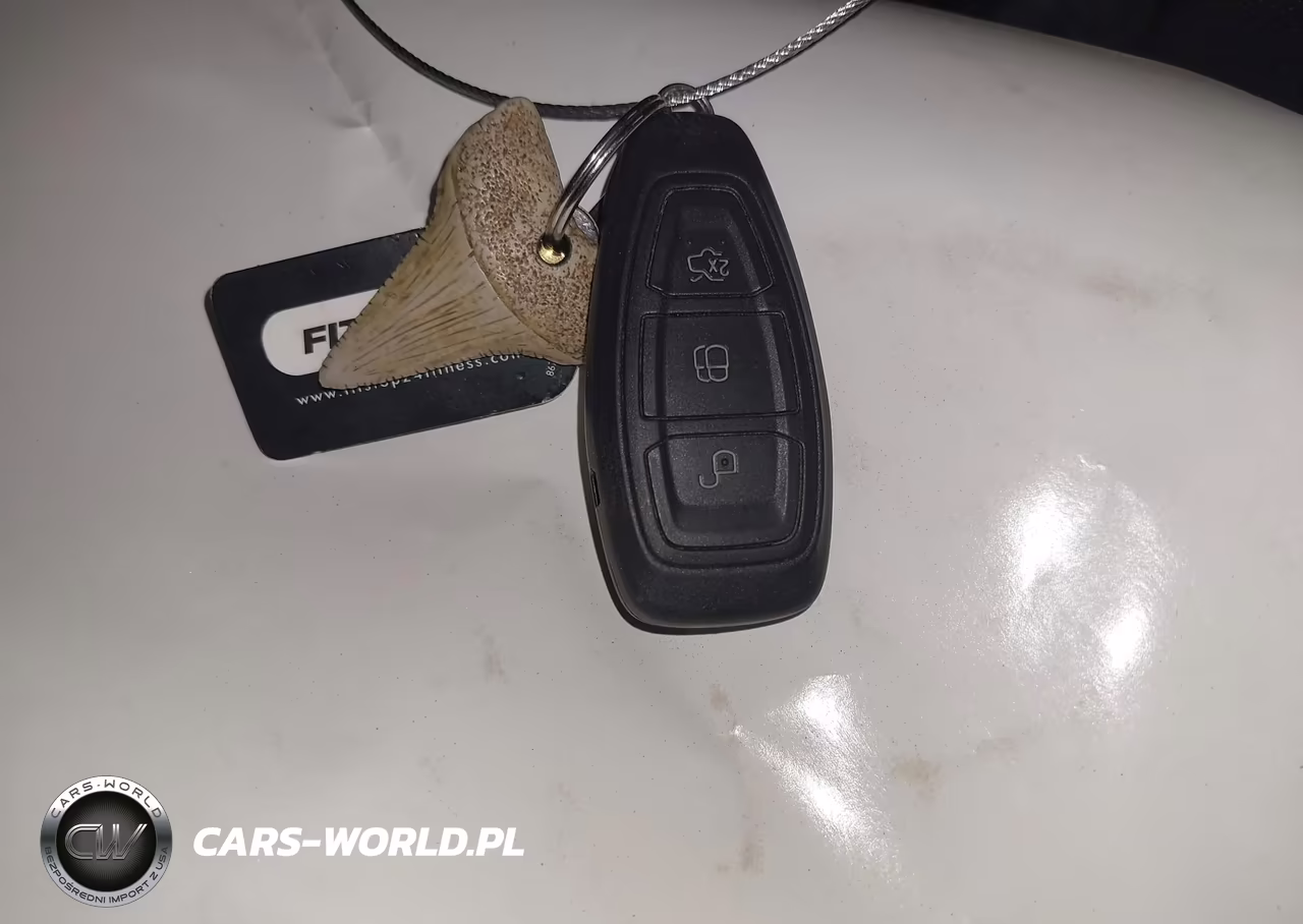 2014 Ford Focus St VIN:1FADP3L92EL346359 - 11