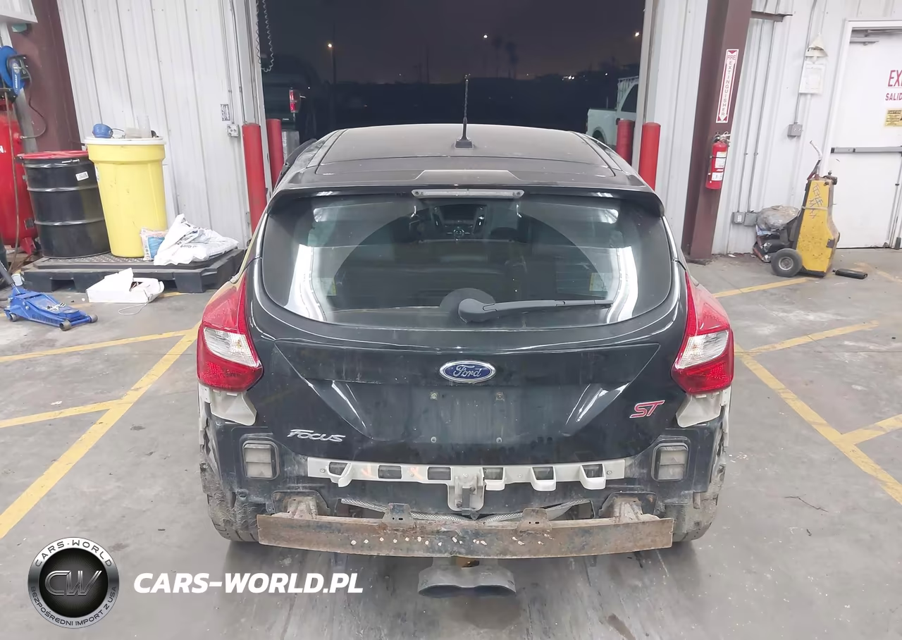 2014 Ford Focus St VIN:1FADP3L92EL346359 - 17