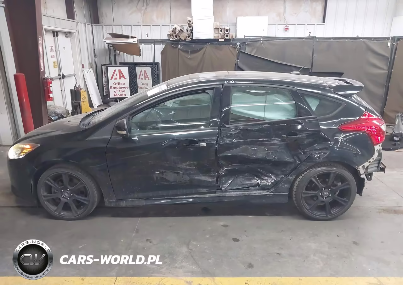 2014 Ford Focus St VIN:1FADP3L92EL346359 - 6