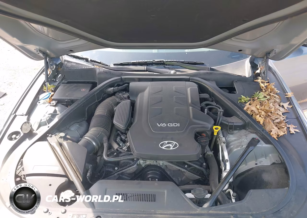 2015 Hyundai Genesis 3.8 VIN:KMHGN4JEXFU034722 - 10