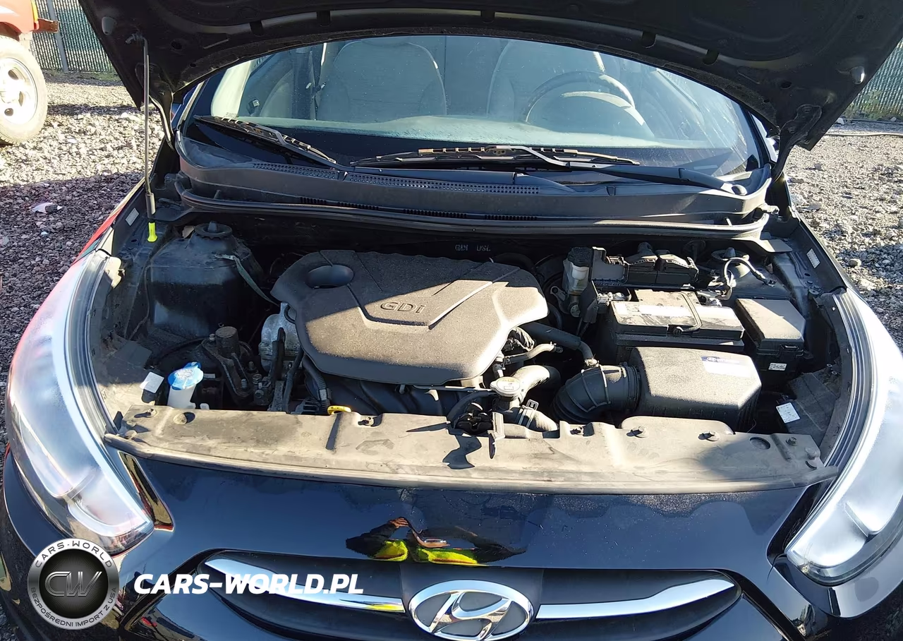 2017 Hyundai Accent Se VIN:KMHCT4AE2HU337078 - 10