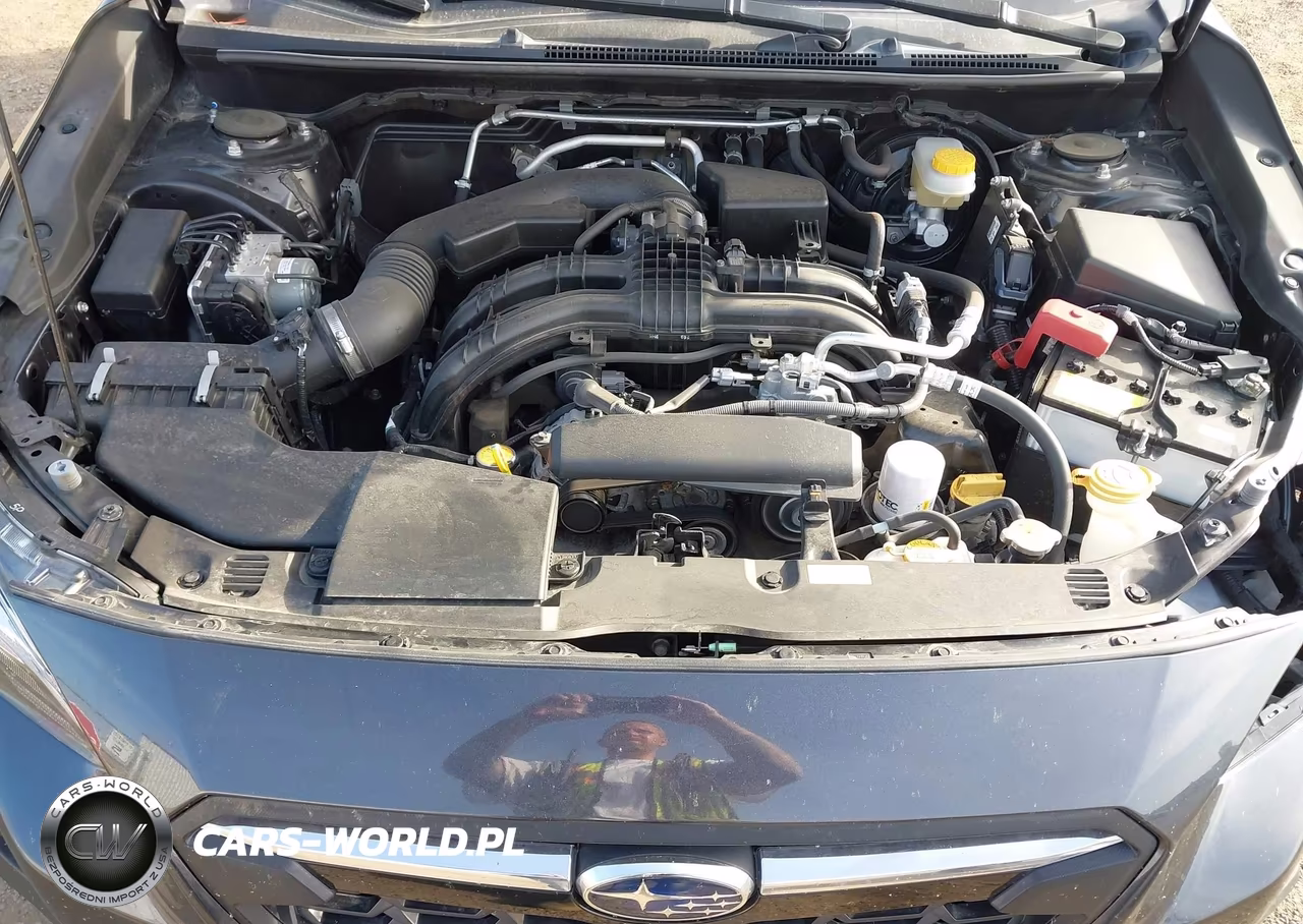 2019 Subaru Crosstrek 2.0I Limited VIN:JF2GTAMC2K8385969 - 10