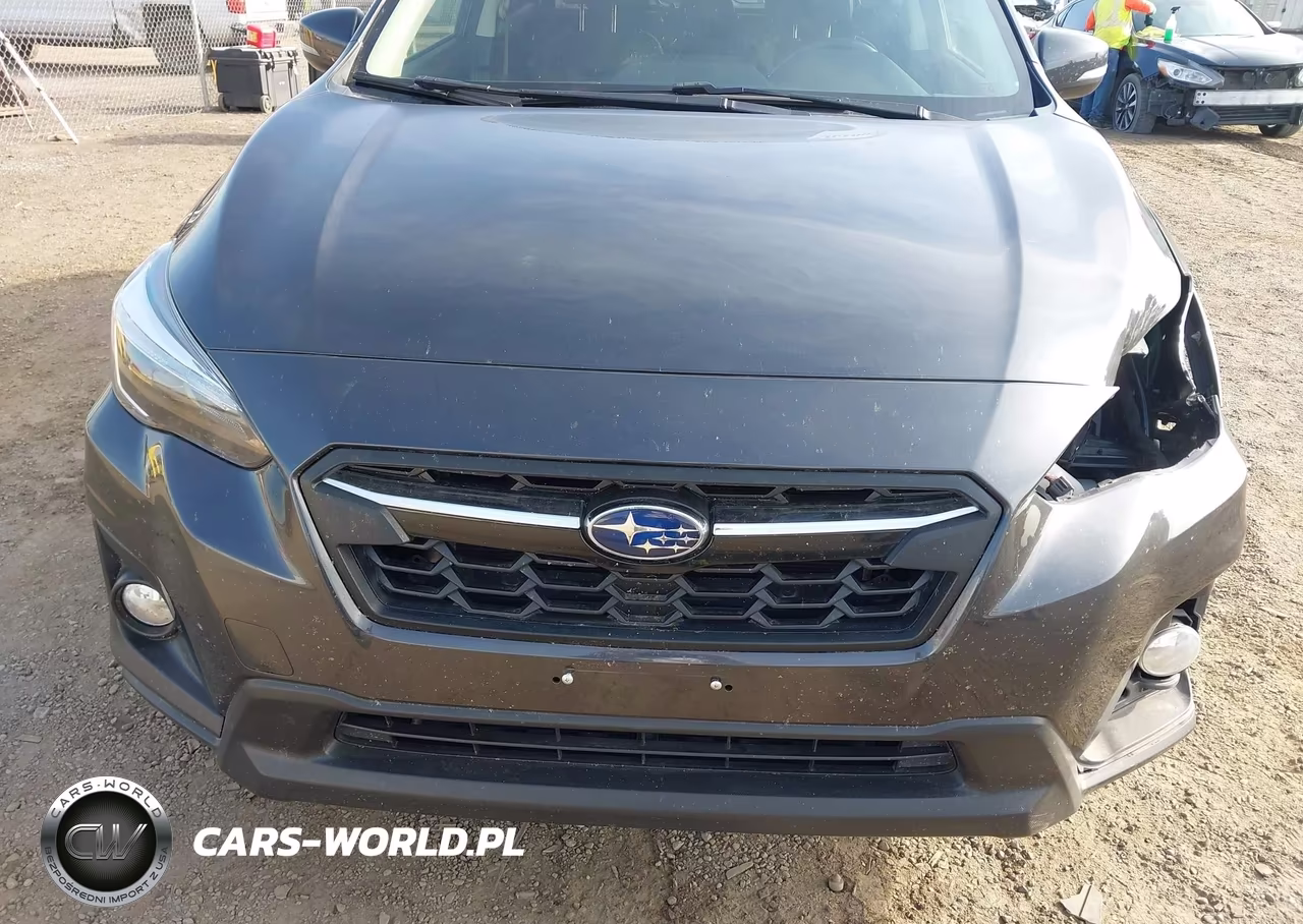 2019 Subaru Crosstrek 2.0I Limited VIN:JF2GTAMC2K8385969 - 18