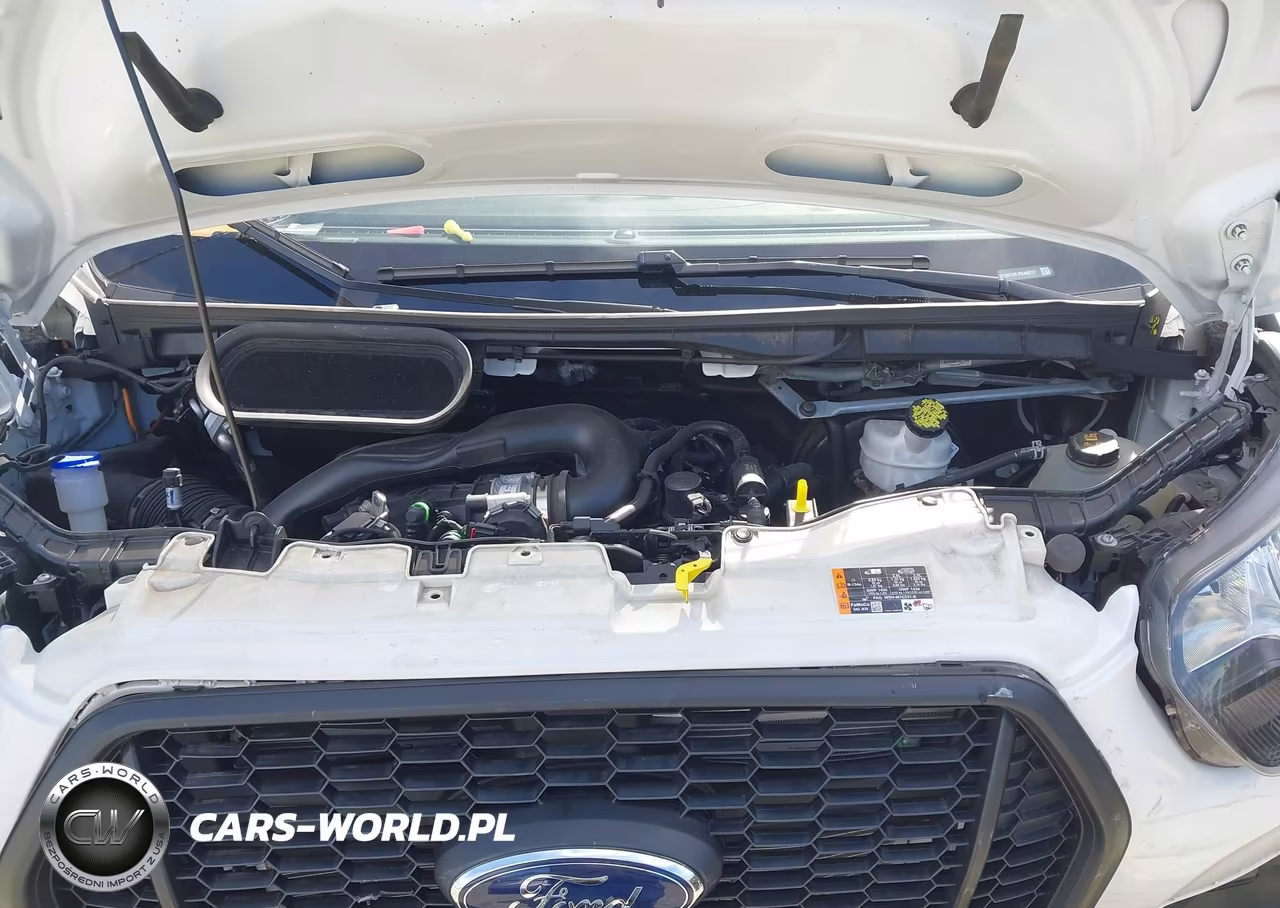 2024 Ford Transit-250 VIN:1FTBR1X81RKA90731 - 10