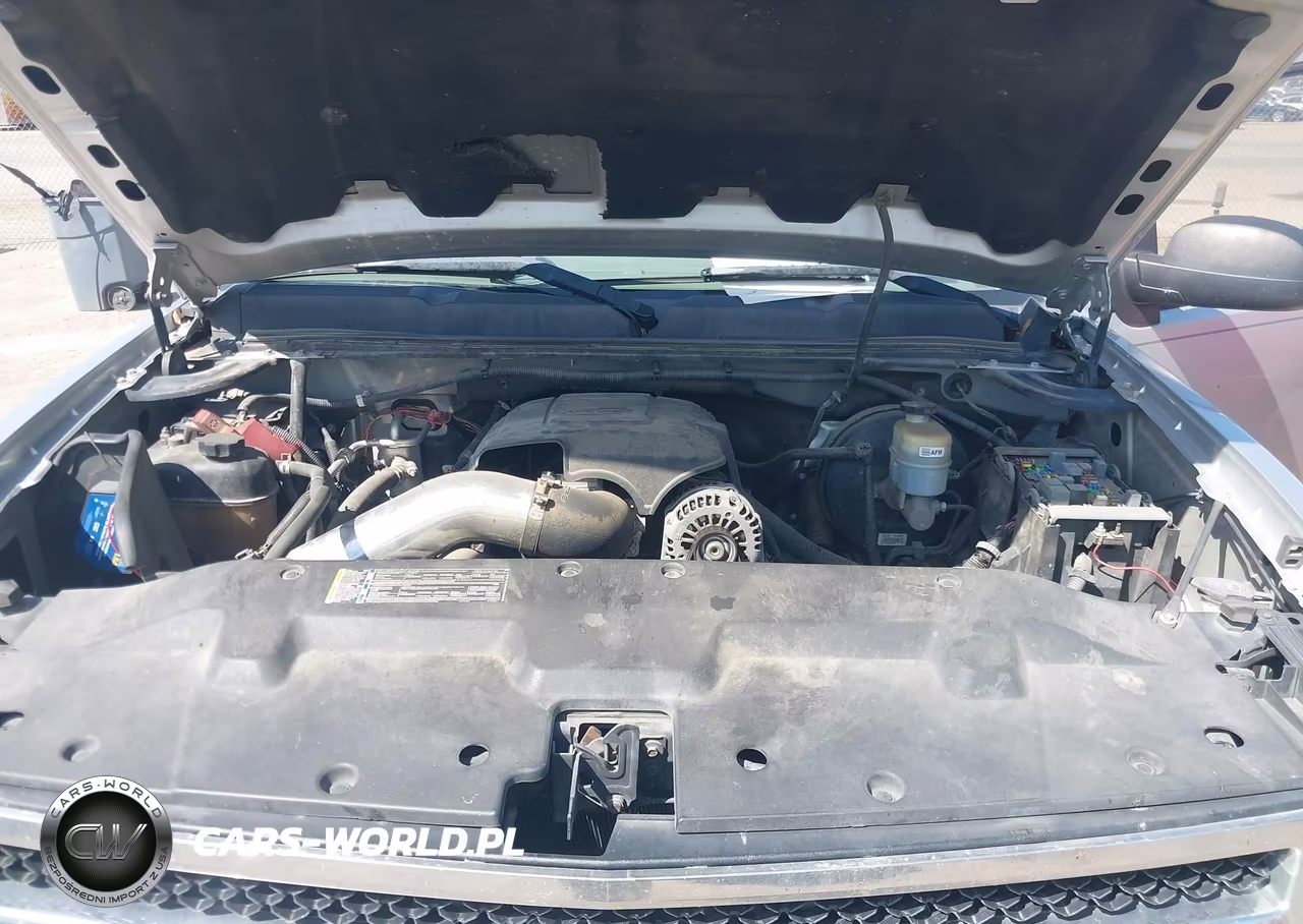 2010 Chevrolet Silverado 1500 Ls VIN:3GCRCREA0AG191209 - 10