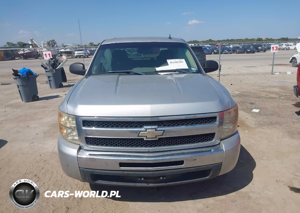 2010 Chevrolet Silverado 1500 Ls VIN:3GCRCREA0AG191209 - 12
