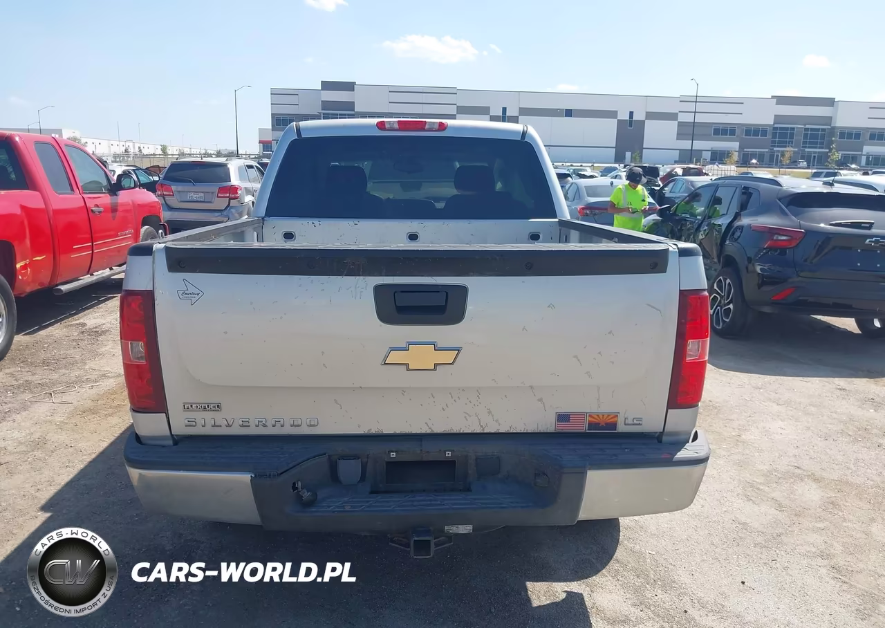 2010 Chevrolet Silverado 1500 Ls VIN:3GCRCREA0AG191209 - 16