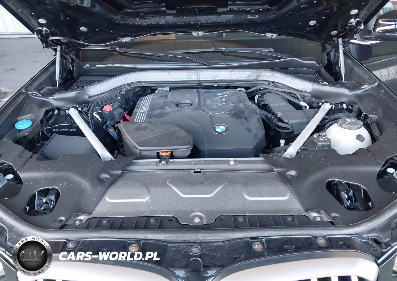 2024 BMW X3 Sdrive30I VIN:5UX43DP03R9X40851 - 10