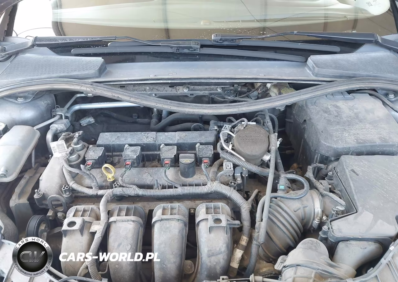 2014 Ford Focus Se VIN:1FADP3F27EL432720 - 10