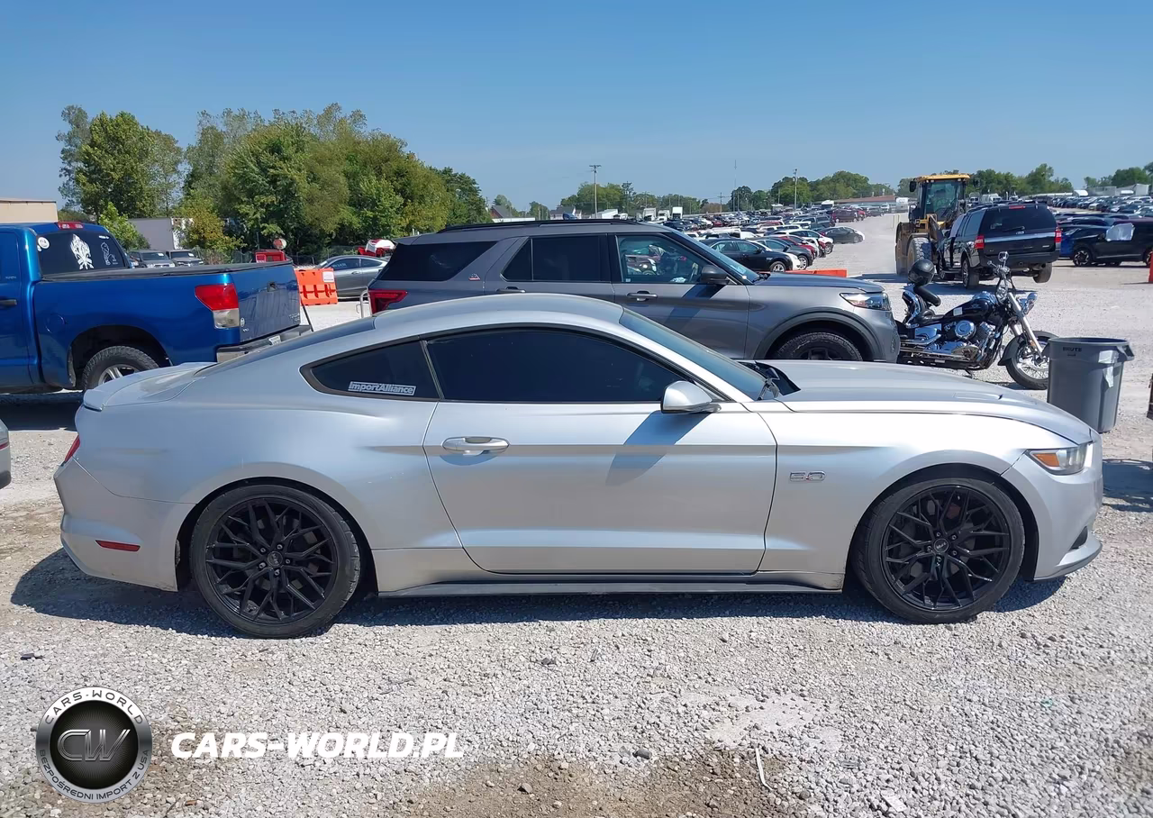 2016 Ford Mustang Gt VIN:1FA6P8CF5G5335388 - 13
