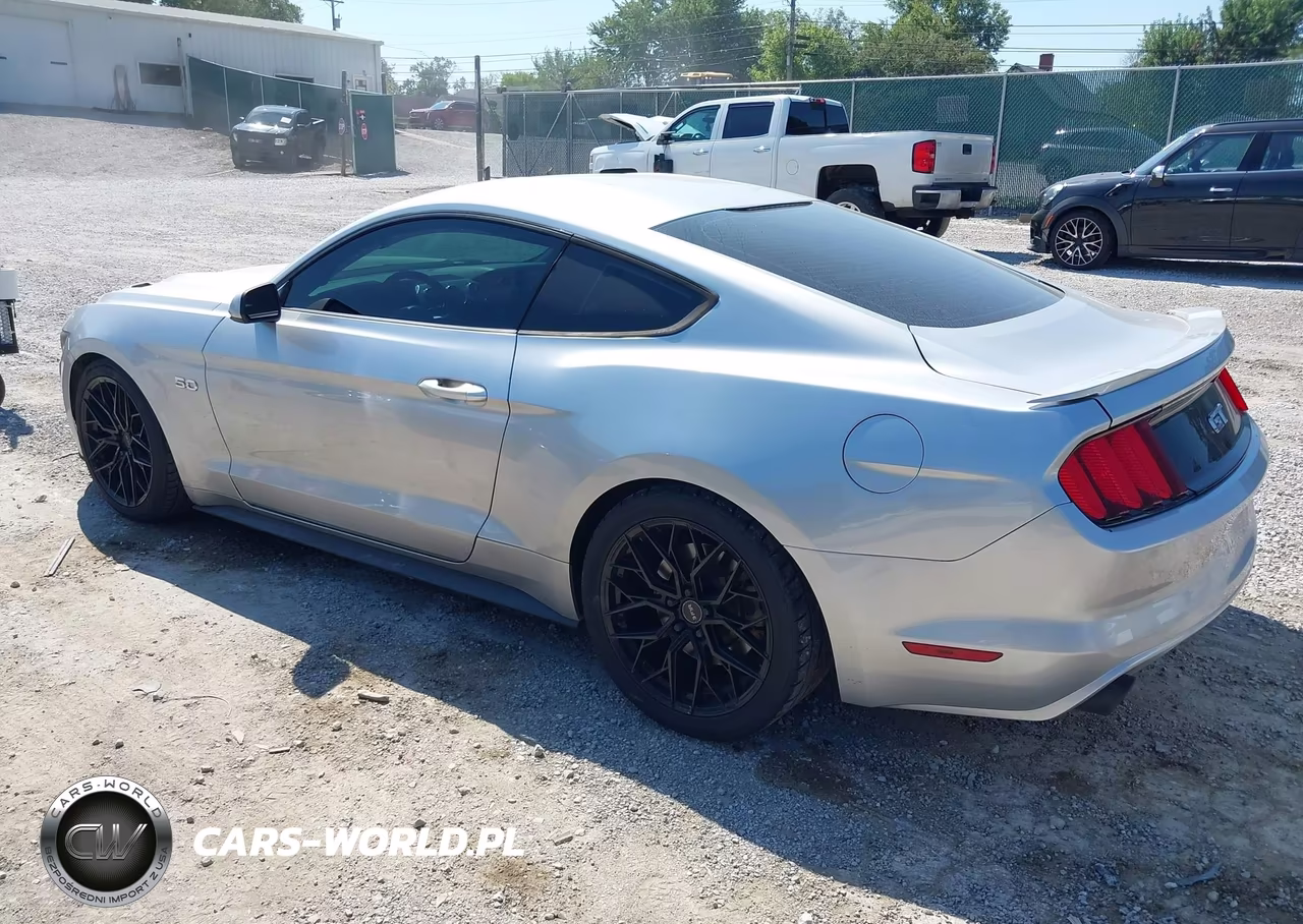 2016 Ford Mustang Gt VIN:1FA6P8CF5G5335388 - 3
