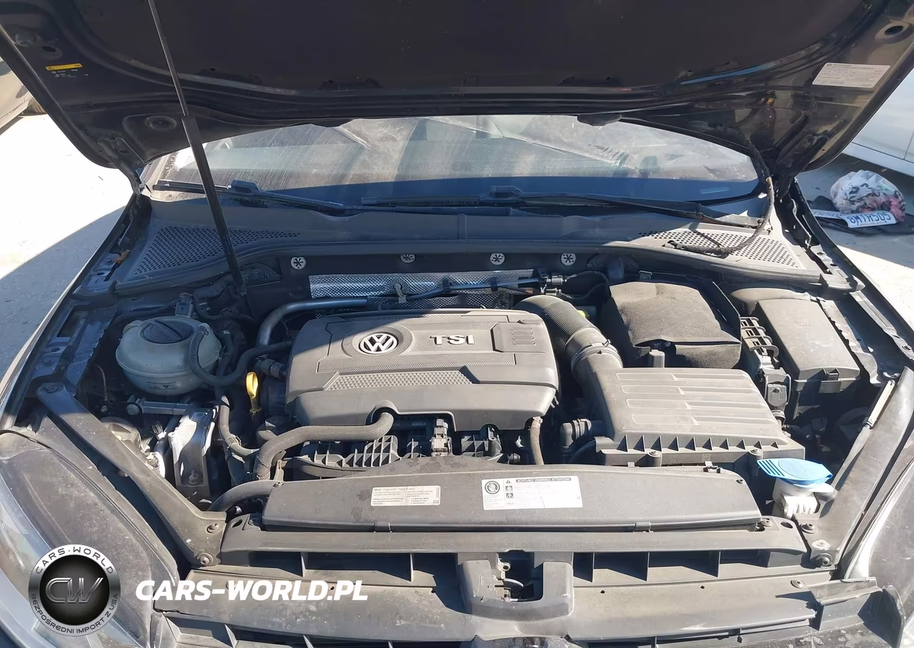 2016 Volkswagen Golf Sportwagen Tsi S 4-Door VIN:3VWC17AU9GM517936 - 10