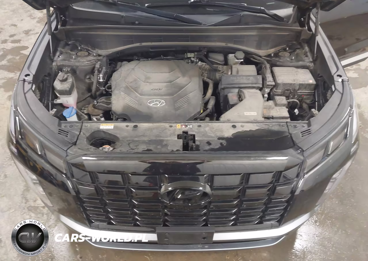 2024 Hyundai Palisade Limited VIN:KM8R5DGEXRU702782 - 10
