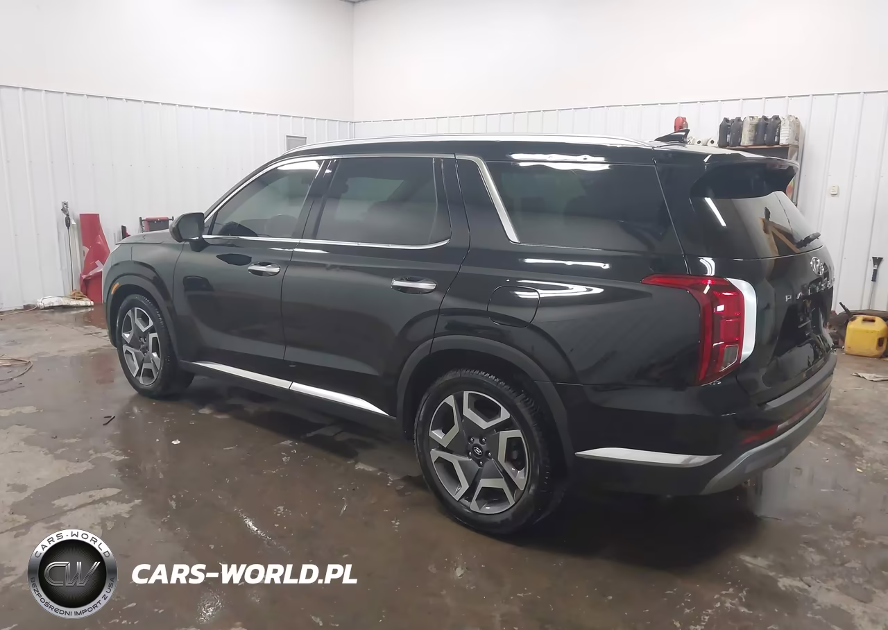 2024 Hyundai Palisade Limited VIN:KM8R5DGEXRU702782 - 3