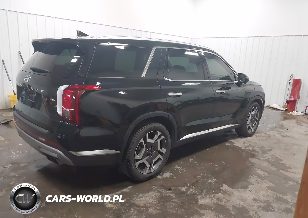 2024 Hyundai Palisade Limited VIN:KM8R5DGEXRU702782 - 4