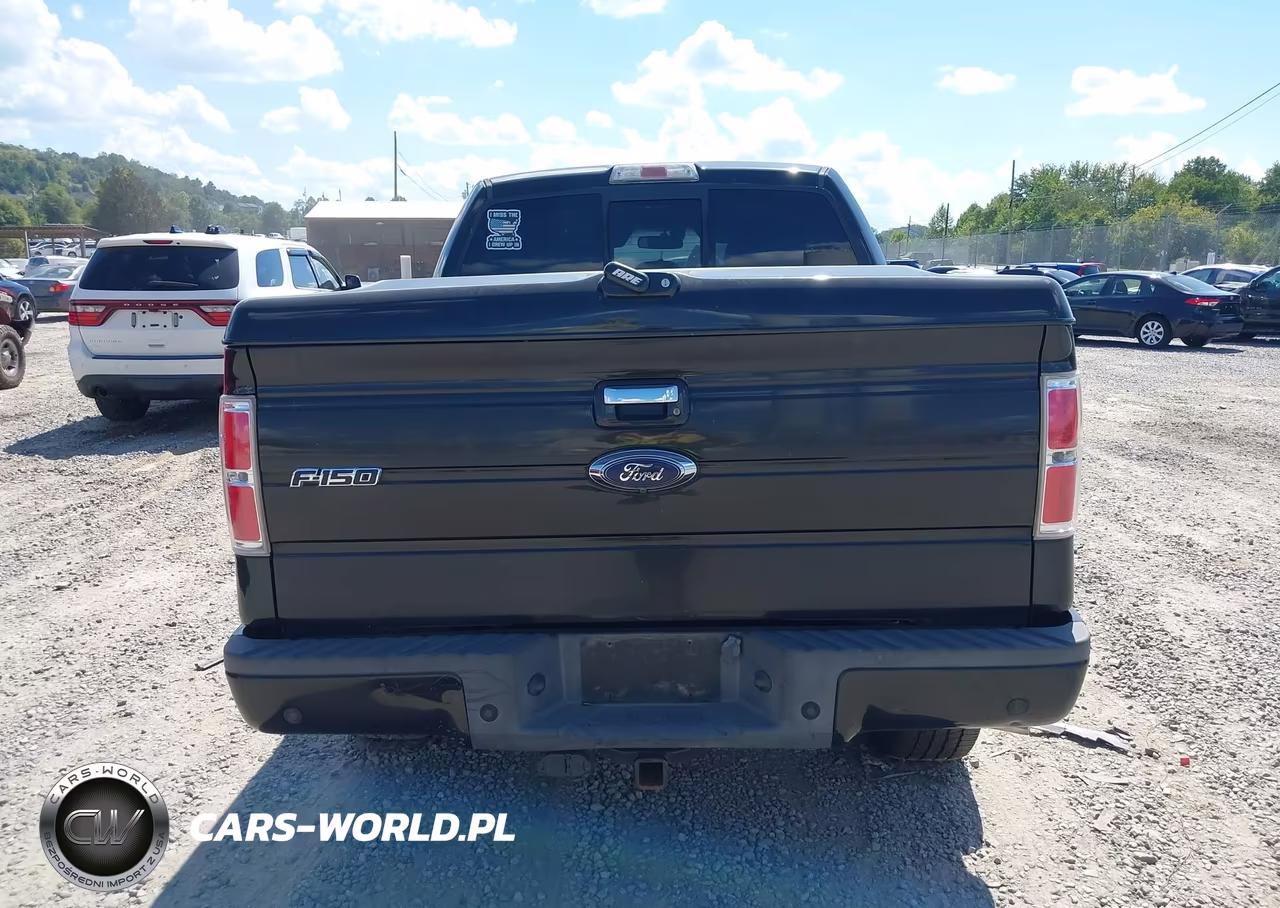 2014 Ford F-150 Limited VIN:1FTFW1ET3EFA19681 - 17