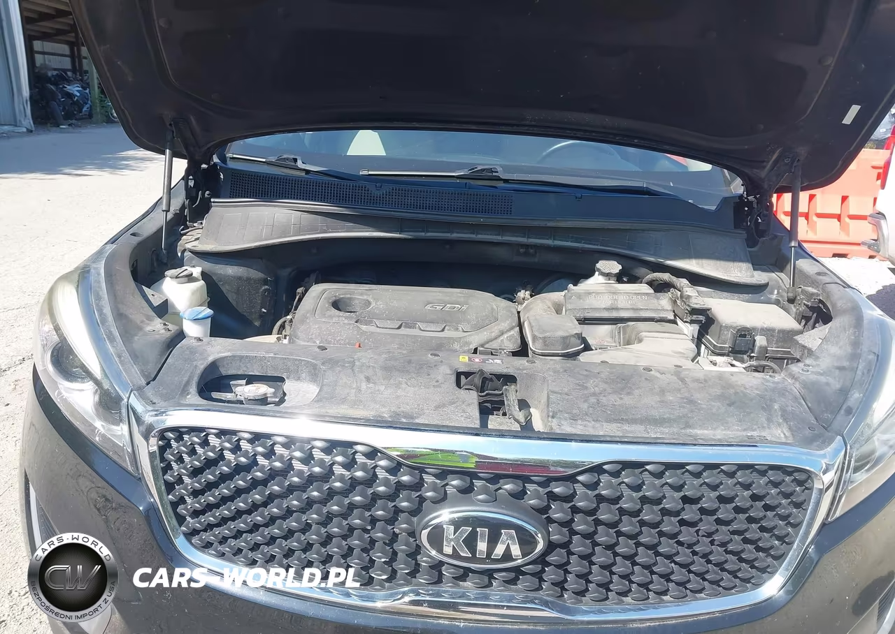 2017 Kia Sorento 2.4L Lx VIN:5XYPGDA33HG328254 - 10