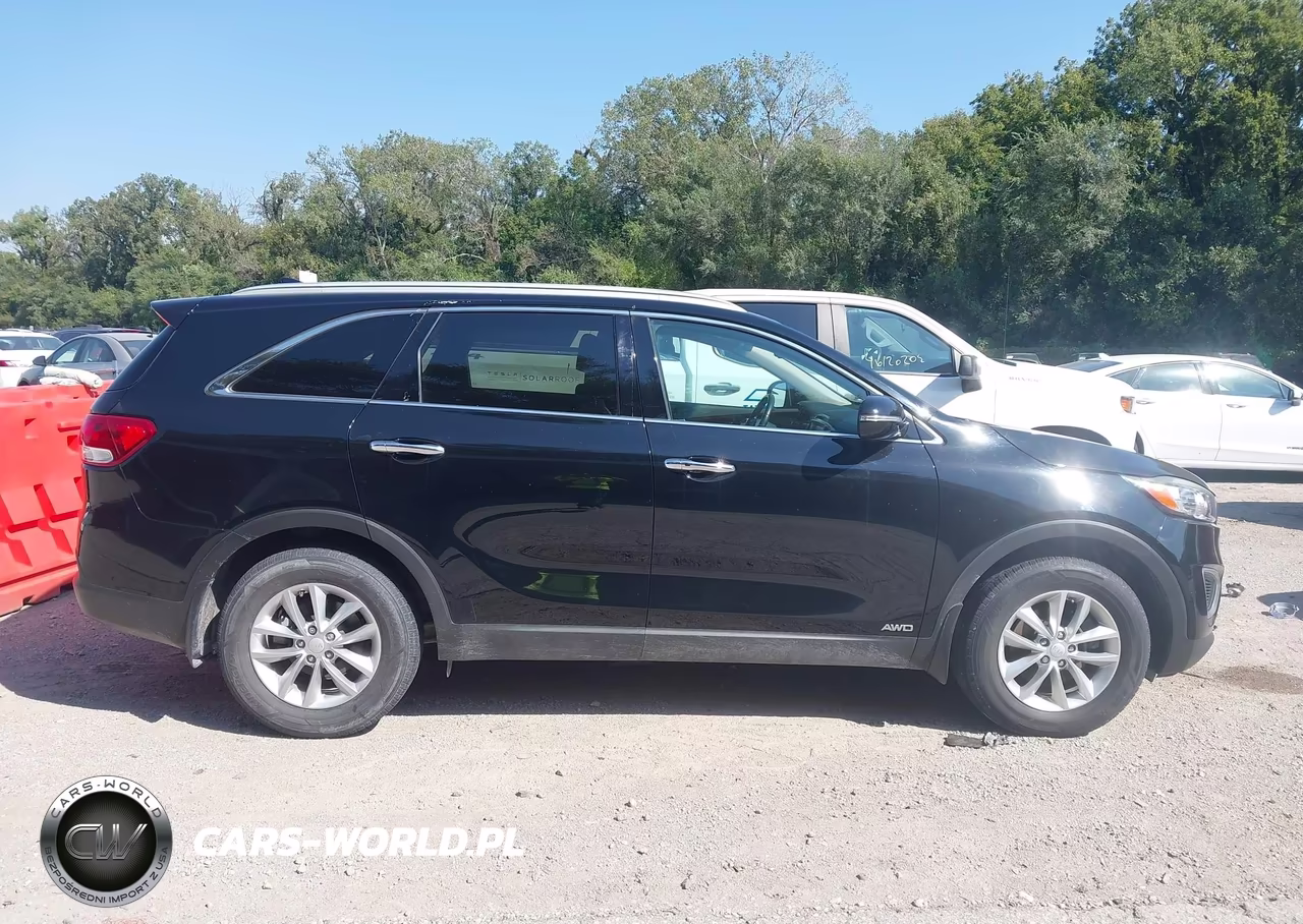 2017 Kia Sorento 2.4L Lx VIN:5XYPGDA33HG328254 - 13
