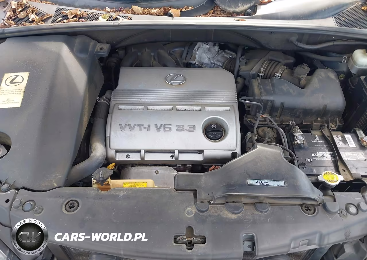 2005 Lexus Rx 330 VIN:JTJGA31U750057346 - 10