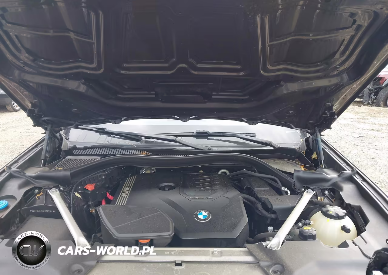 2021 BMW X3 Sdrive30I VIN:5UXTY3C04M9D97184 - 10