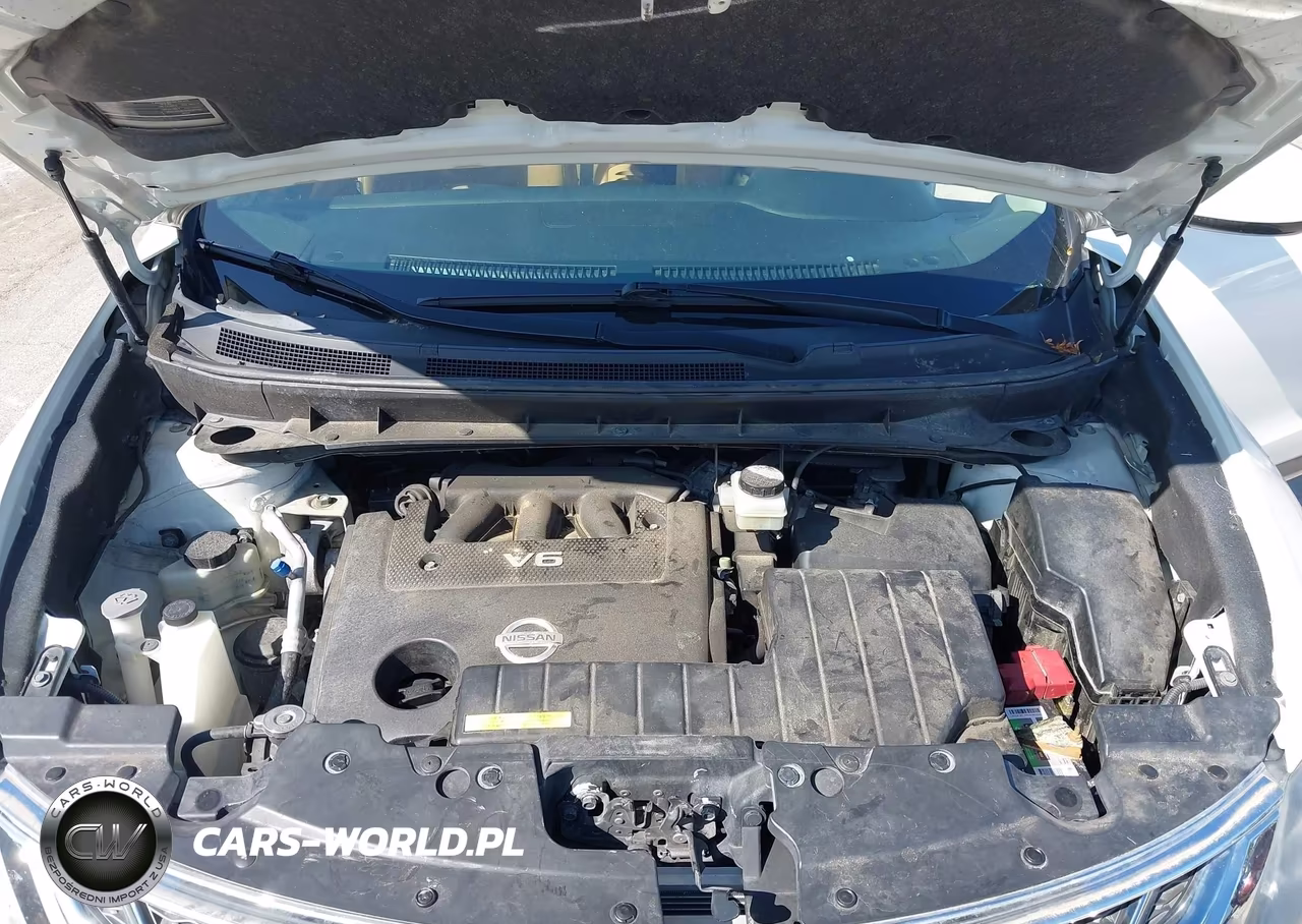 2014 Nissan Murano Crosscabriolet VIN:JN8AZ1FY6EW300499 - 10