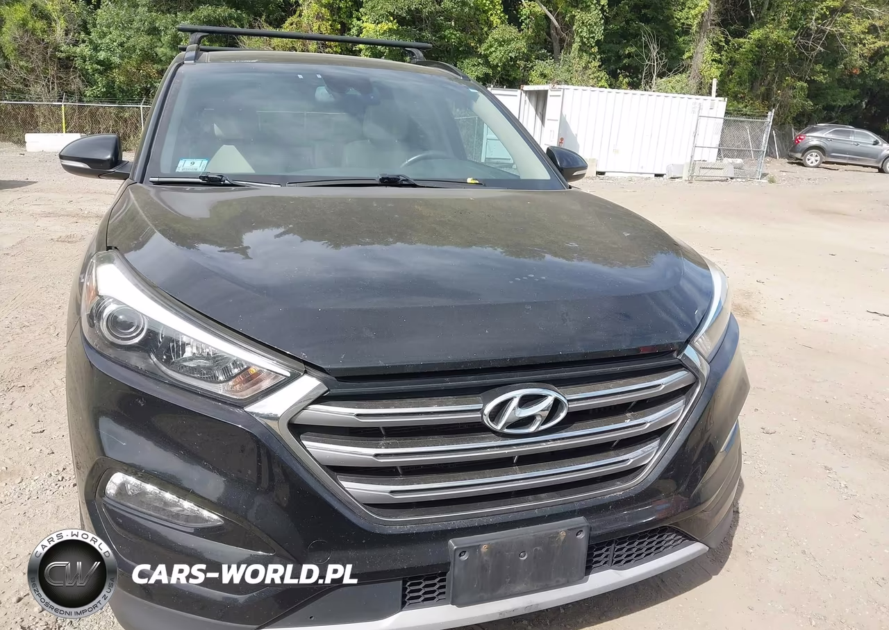 2017 Hyundai Tucson Limited VIN:KM8J3CA28HU333124 - 12