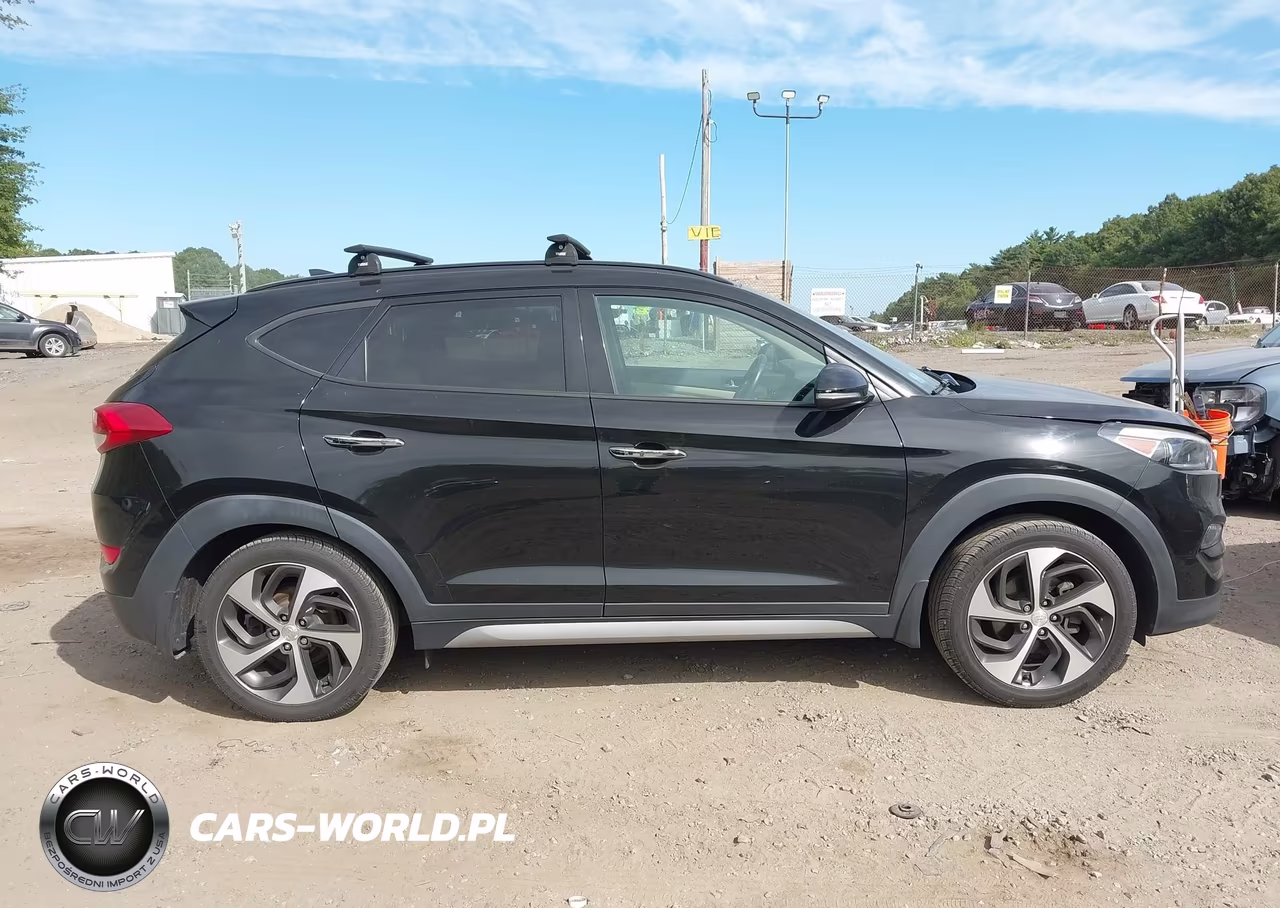 2017 Hyundai Tucson Limited VIN:KM8J3CA28HU333124 - 13