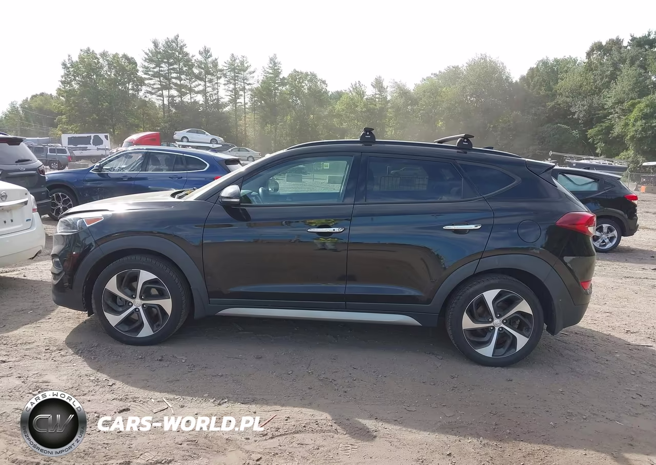2017 Hyundai Tucson Limited VIN:KM8J3CA28HU333124 - 14