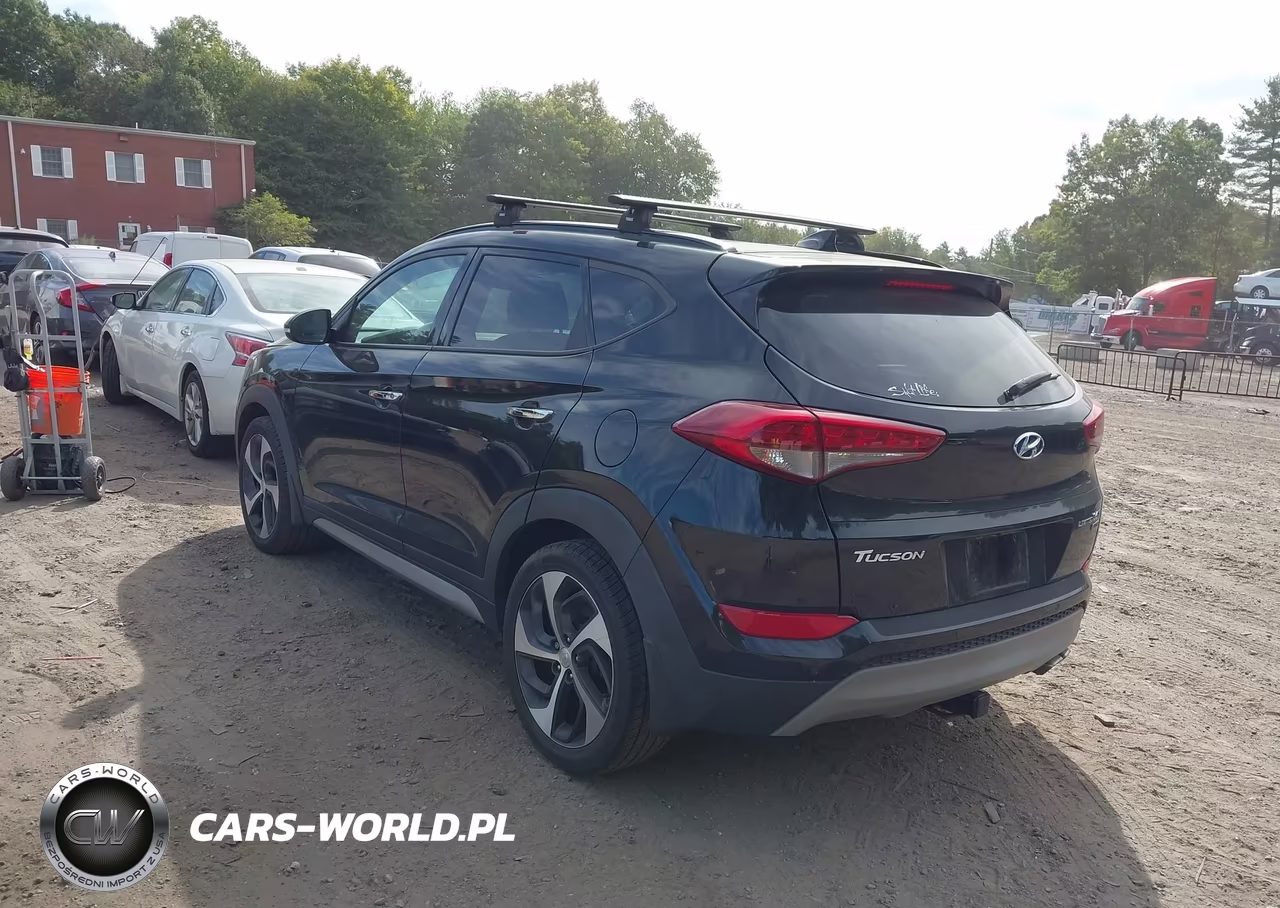 2017 Hyundai Tucson Limited VIN:KM8J3CA28HU333124 - 3