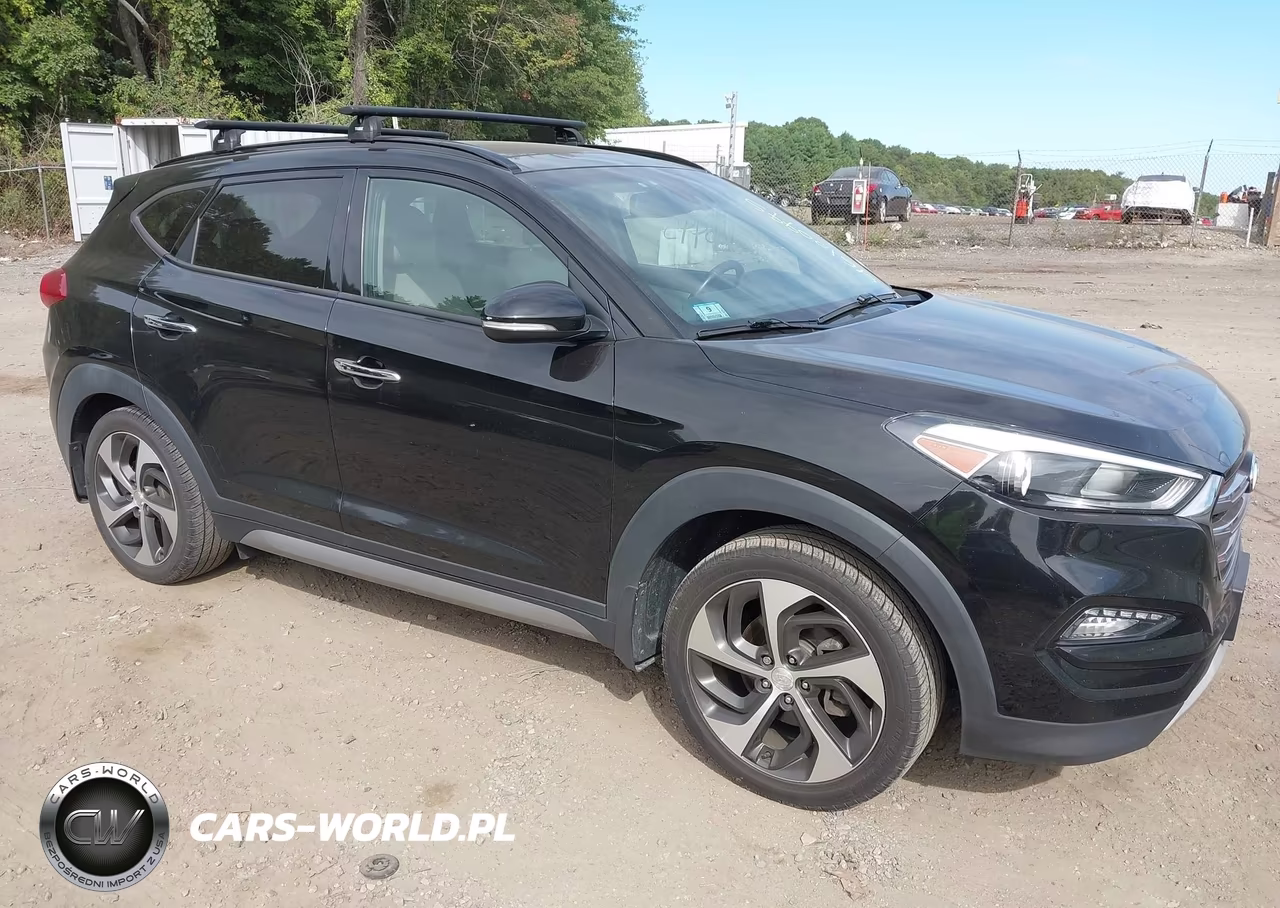 2017 Hyundai Tucson Limited VIN:KM8J3CA28HU333124 - 6