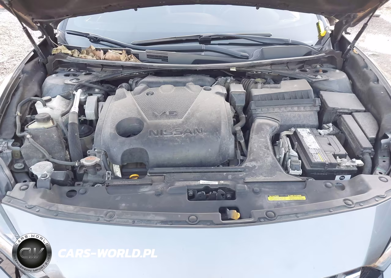 2020 Nissan Maxima Platinum Xtronic Cvt VIN:1N4AA6FVXLC366161 - 10