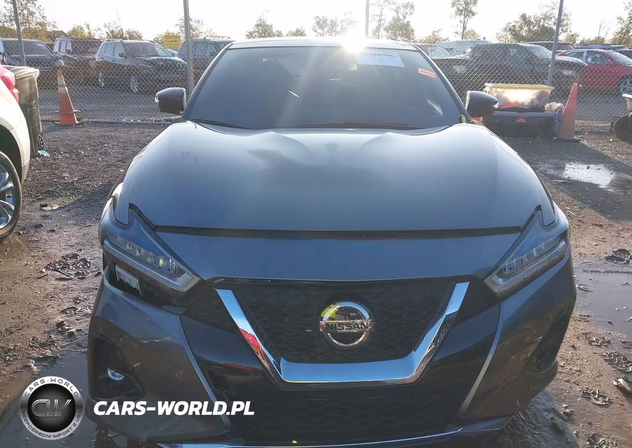 2020 Nissan Maxima Platinum Xtronic Cvt VIN:1N4AA6FVXLC366161 - 11