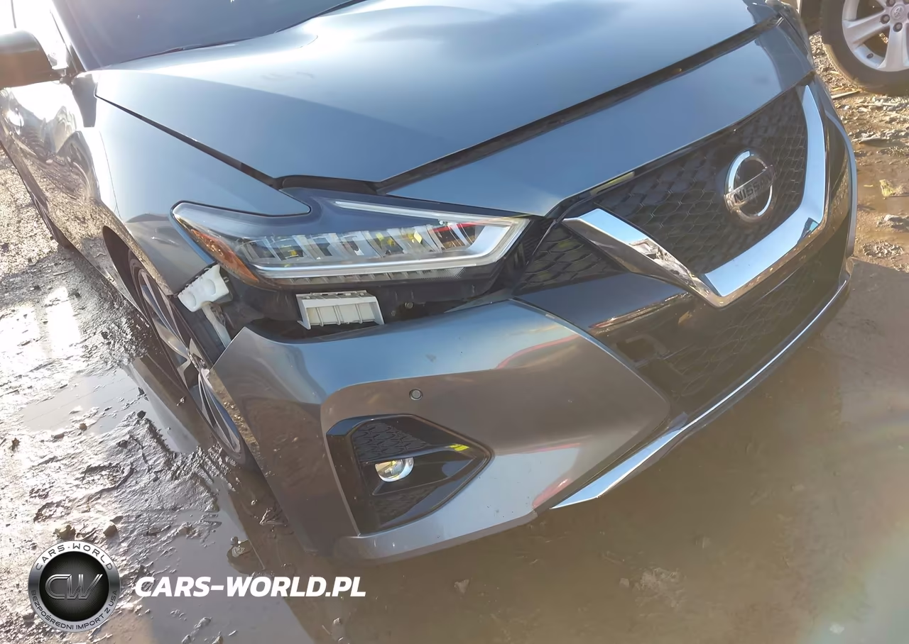 2020 Nissan Maxima Platinum Xtronic Cvt VIN:1N4AA6FVXLC366161 - 16