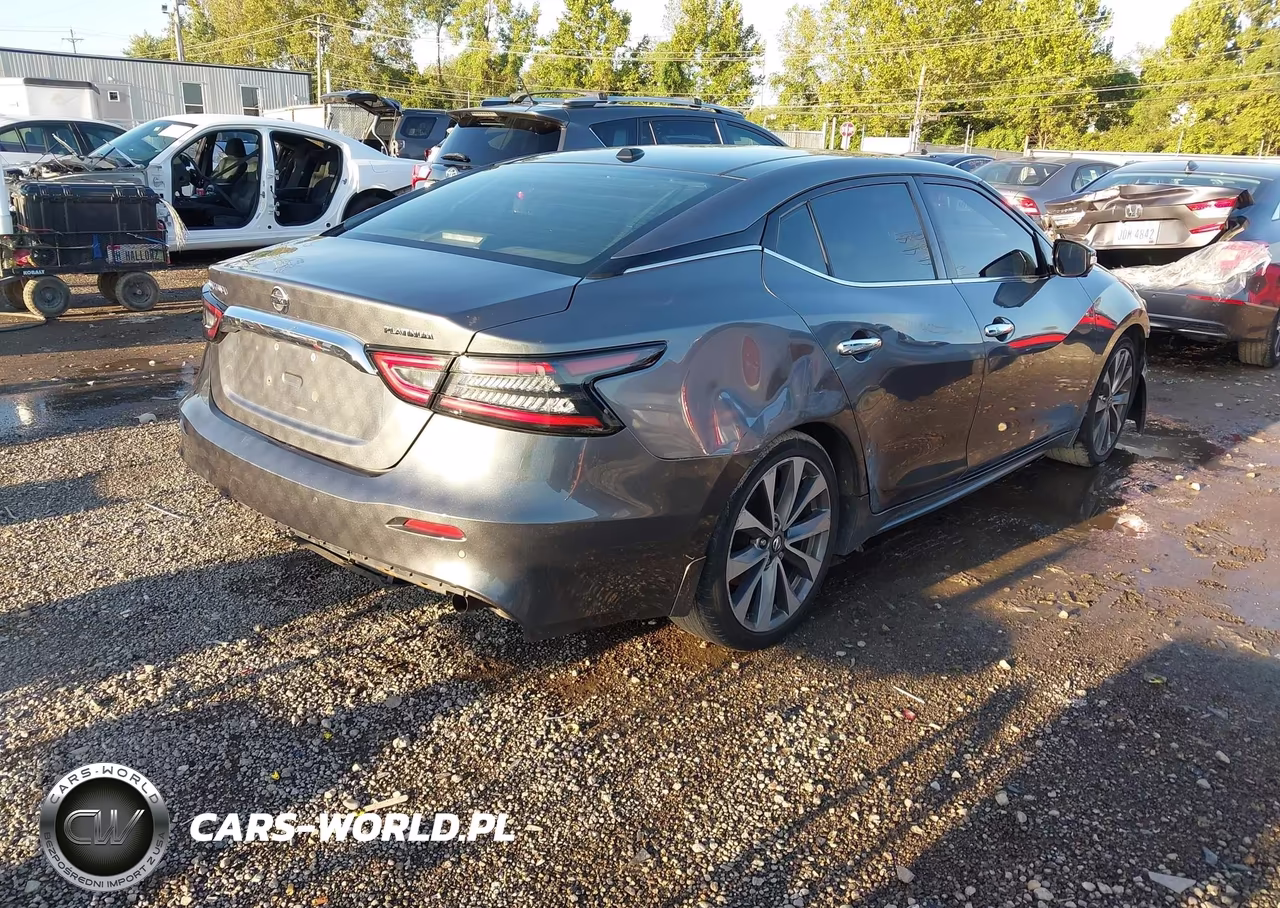 2020 Nissan Maxima Platinum Xtronic Cvt VIN:1N4AA6FVXLC366161 - 4