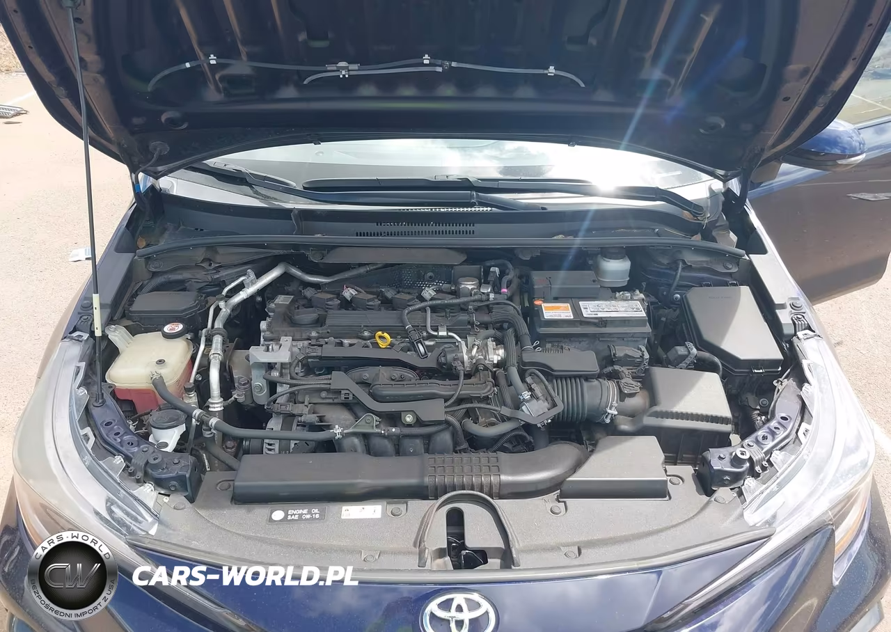 2020 Toyota Corolla Se VIN:JTDP4RCE6LJ014871 - 10