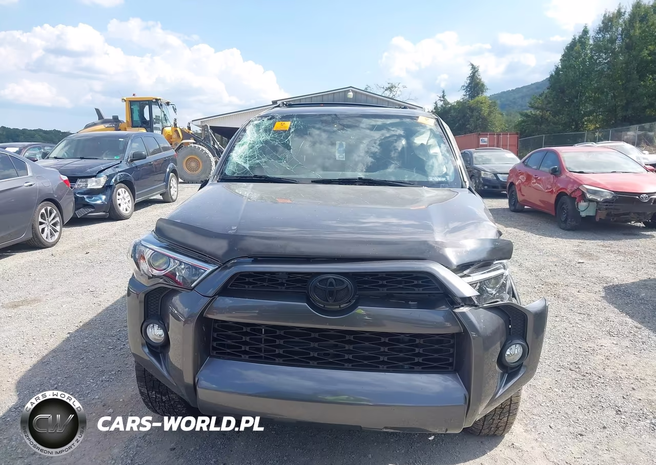 2019 Toyota 4Runner Sr5 Premium VIN:JTEBU5JR6K5732769 - 13
