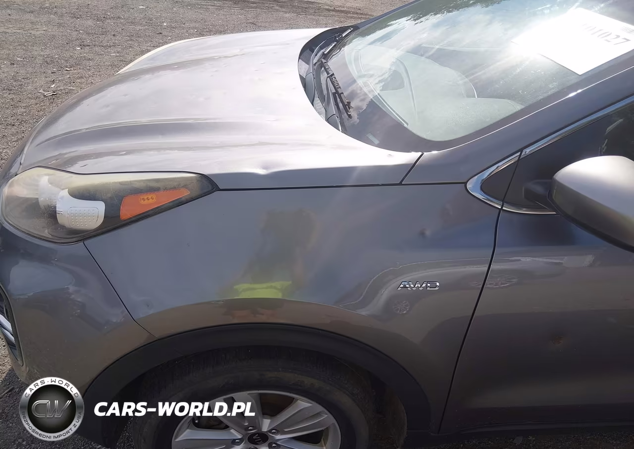 2018 Kia Sportage Lx VIN:KNDPMCAC5J7451365 - 18