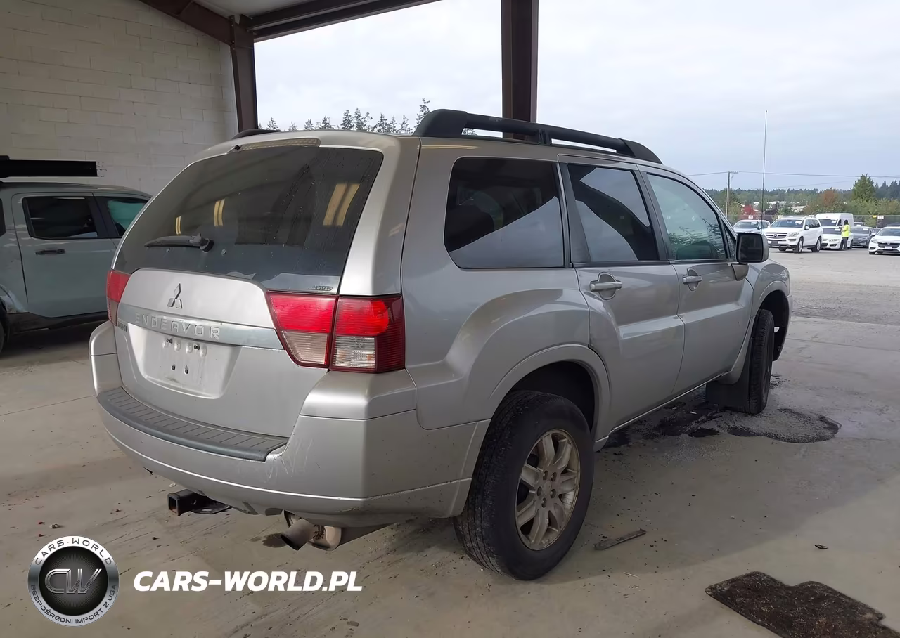 2010 Mitsubishi Endeavor VIN:4A4JN2ASXAE002465 - 4