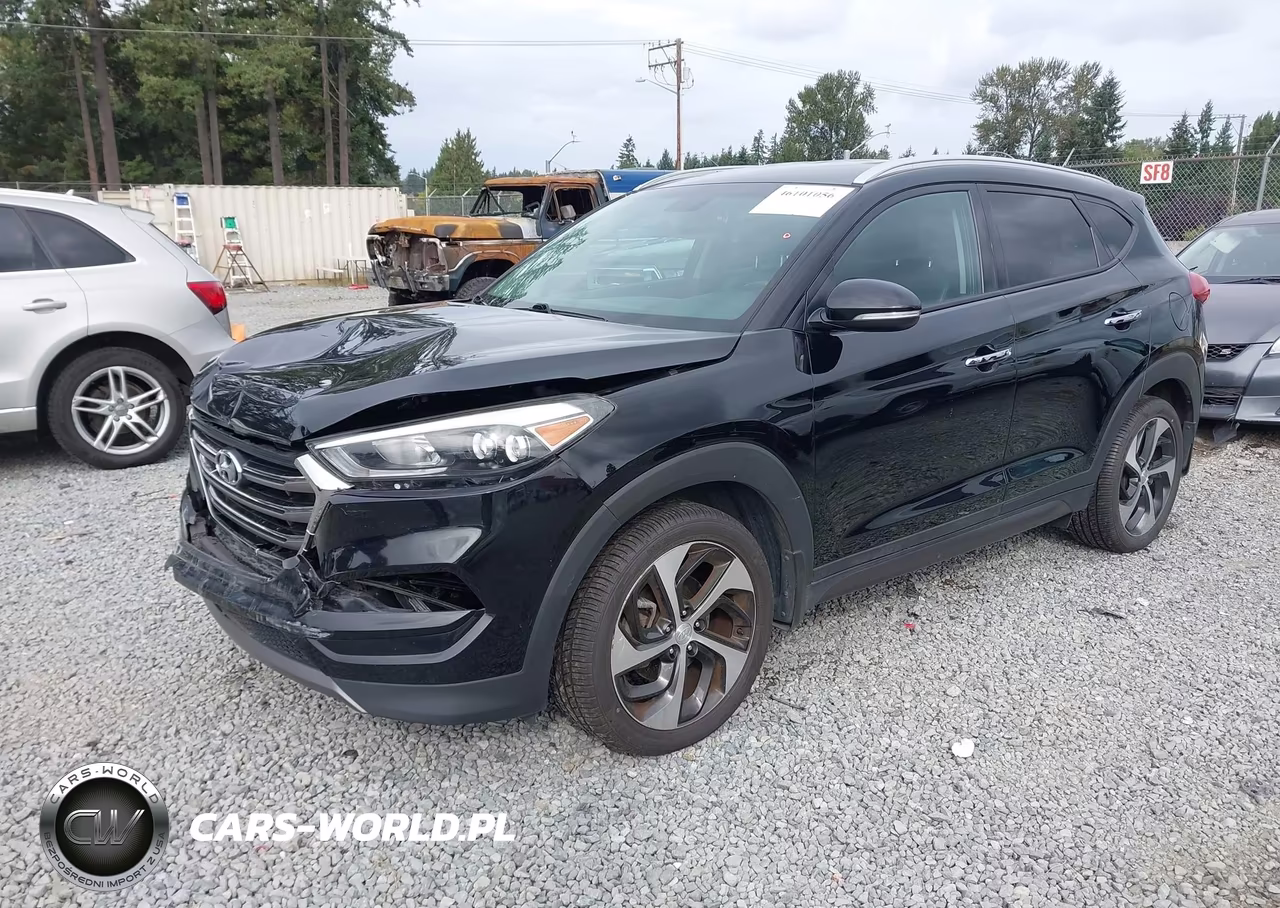 2016 Hyundai Tucson Limited VIN:KM8J3CA24GU220981 - 2