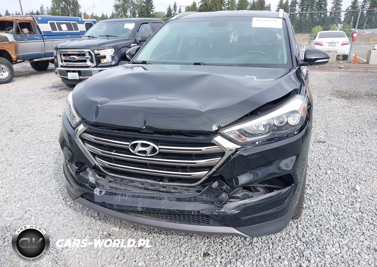 2016 Hyundai Tucson Limited VIN:KM8J3CA24GU220981 - 6
