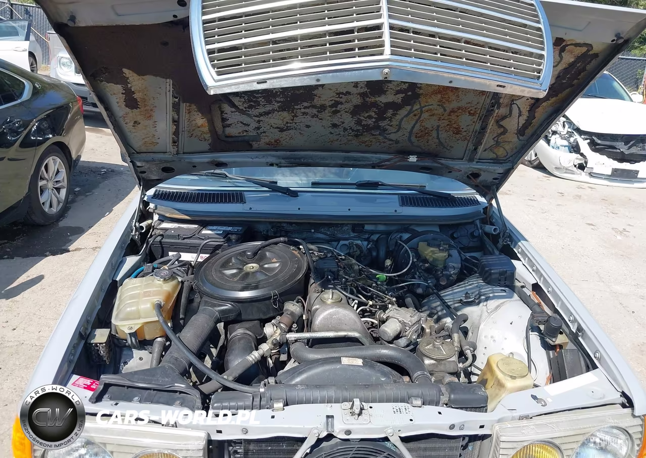 1983 Mercedes-Benz 300 Dt VIN:WDBAB33A3DB029635 - 10