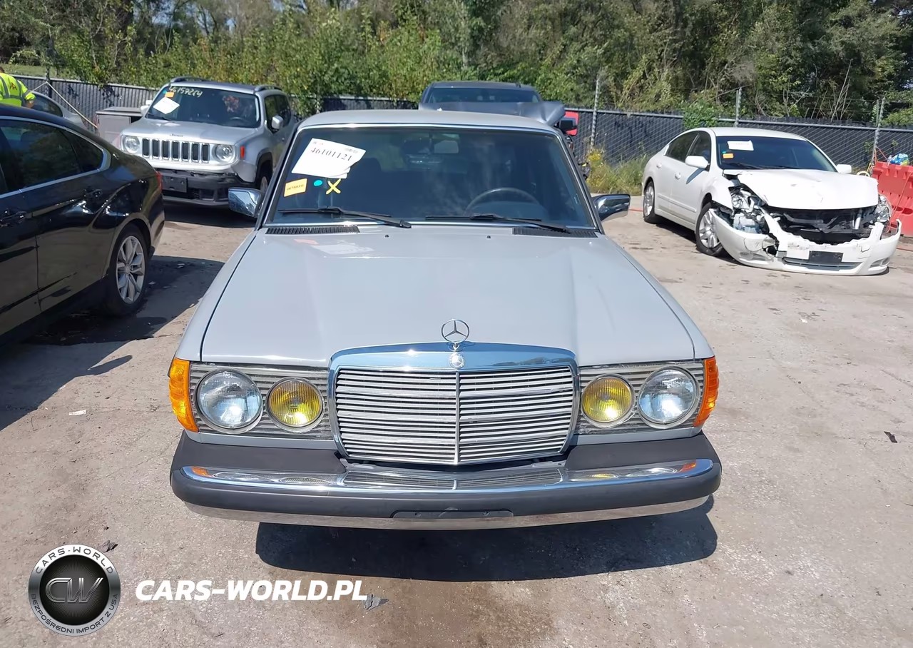 1983 Mercedes-Benz 300 Dt VIN:WDBAB33A3DB029635 - 12