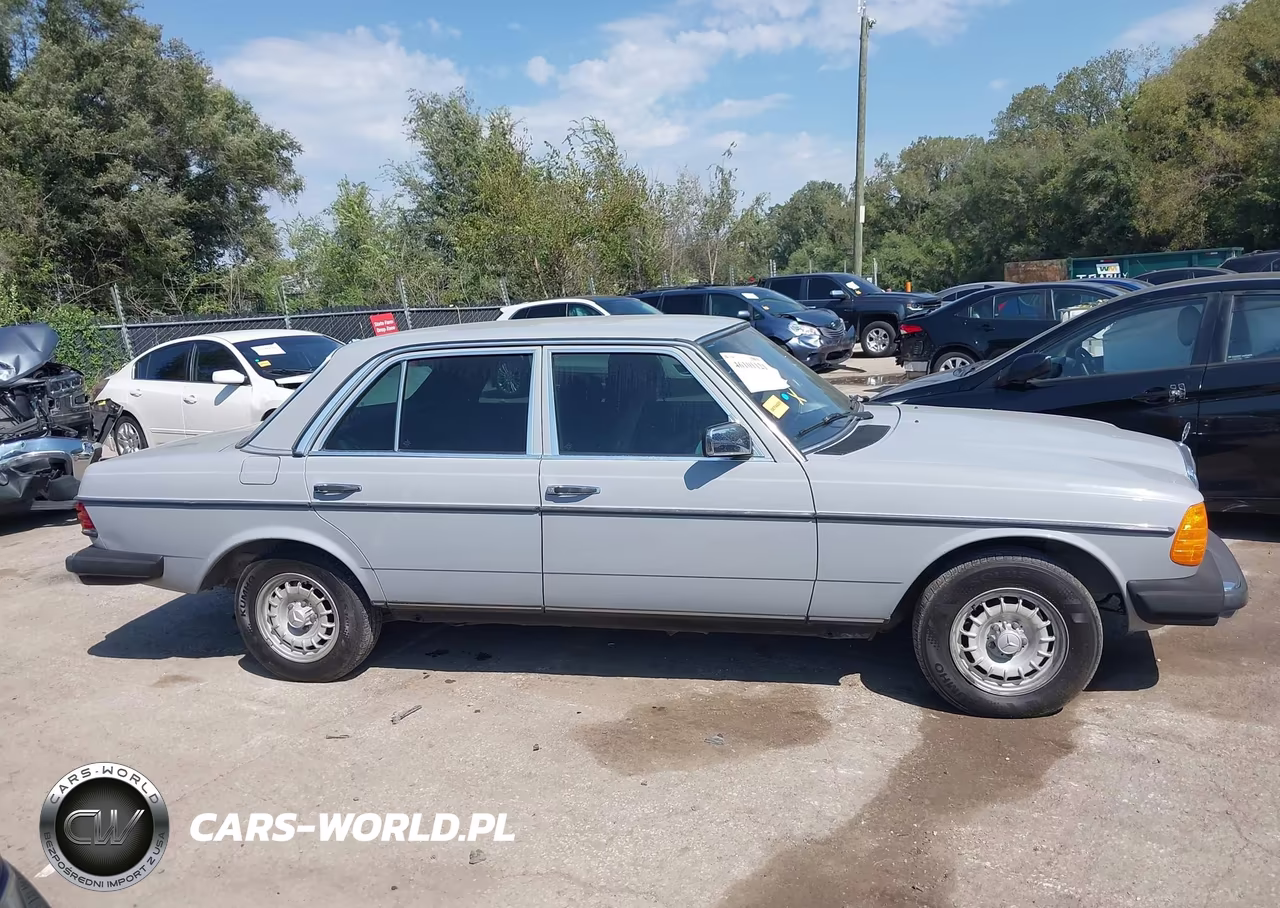 1983 Mercedes-Benz 300 Dt VIN:WDBAB33A3DB029635 - 13