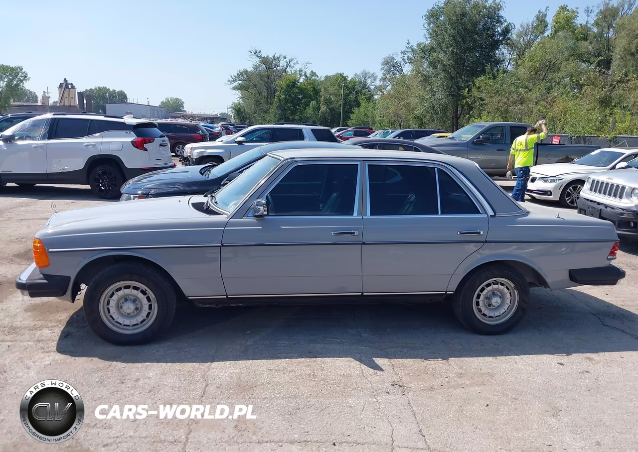 1983 Mercedes-Benz 300 Dt VIN:WDBAB33A3DB029635 - 14