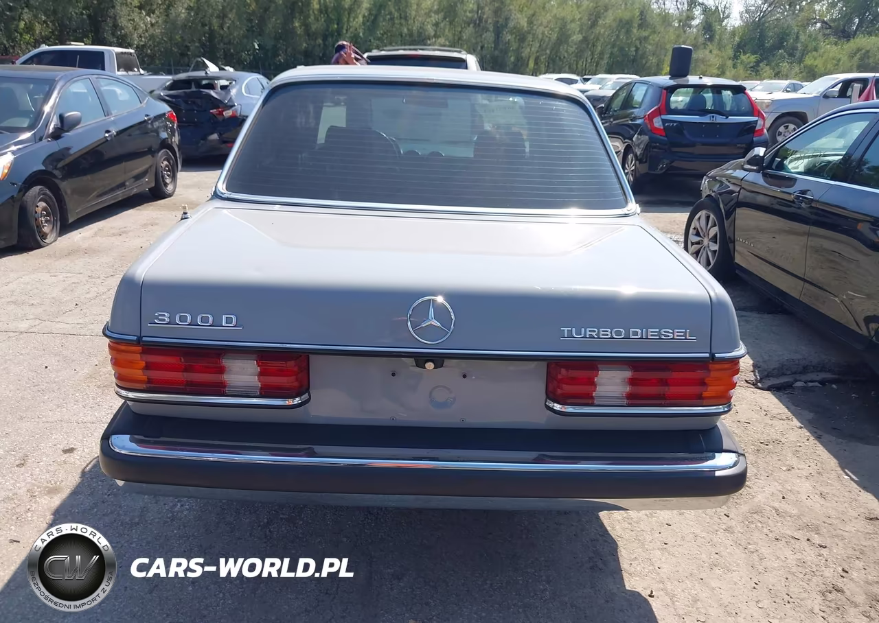 1983 Mercedes-Benz 300 Dt VIN:WDBAB33A3DB029635 - 16