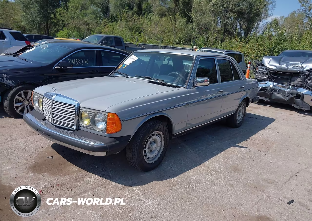 1983 Mercedes-Benz 300 Dt VIN:WDBAB33A3DB029635 - 2