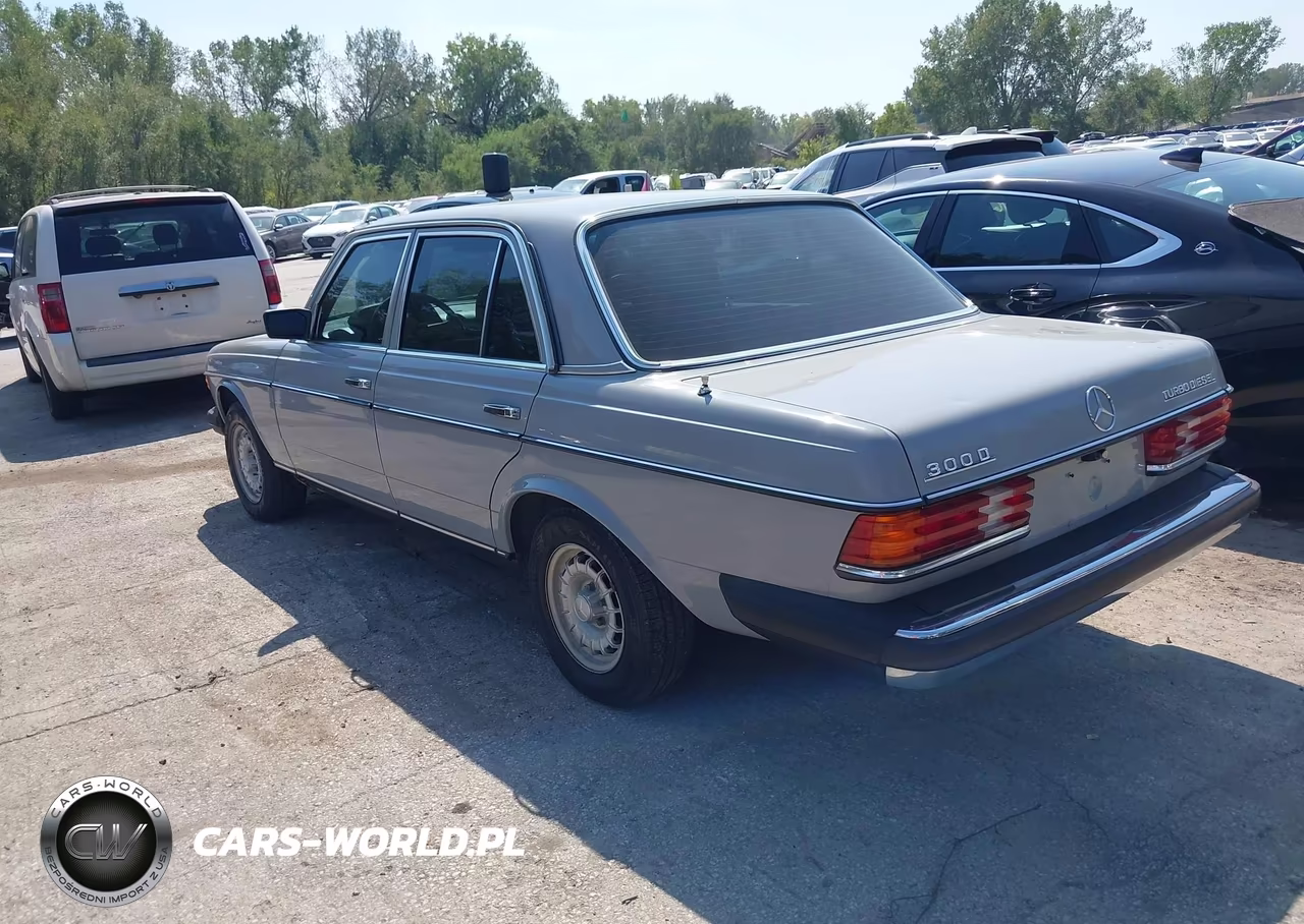 1983 Mercedes-Benz 300 Dt VIN:WDBAB33A3DB029635 - 3